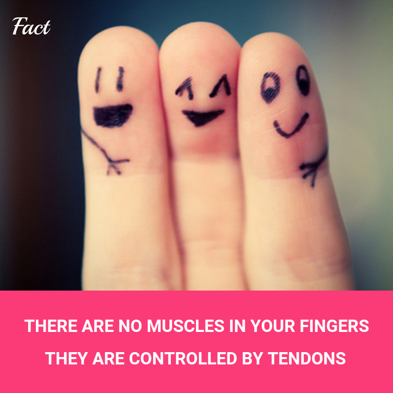 massage and spa offers in dubai